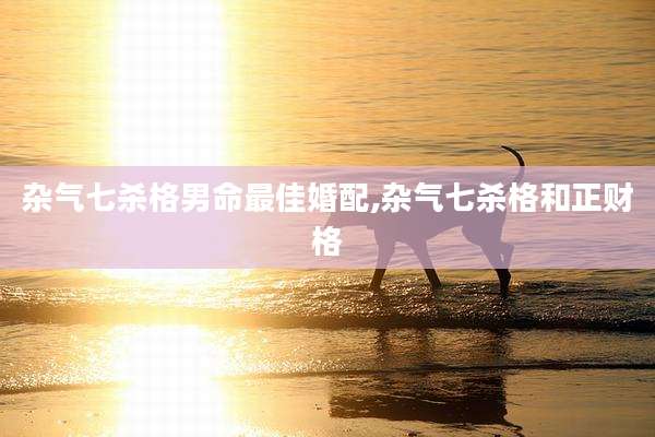 杂气七杀格男命最佳婚配,杂气七杀格和正财格