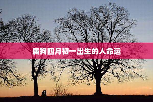 属狗四月初一出生的人命运