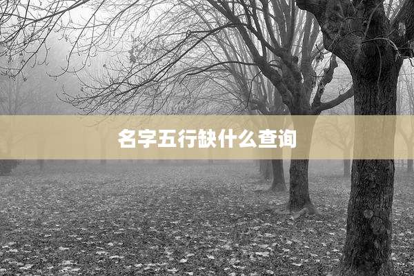 名字五行缺什么查询