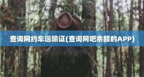 查询网约车运输证(查询网吧余额的APP)