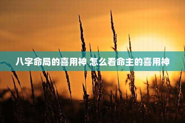 八字命局的喜用神 怎么看命主的喜用神