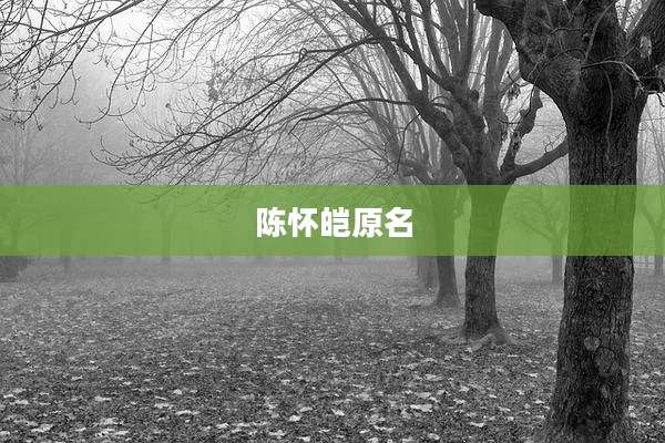 陈怀皑原名