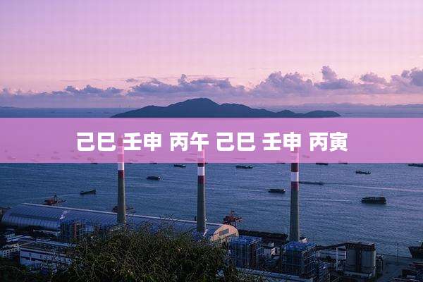 己巳 壬申 丙午 己巳 壬申 丙寅