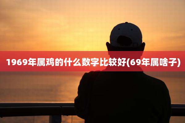 1969年属鸡的什么数字比较好(69年属啥子)