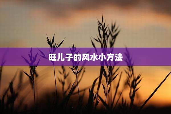 旺儿子的风水小方法