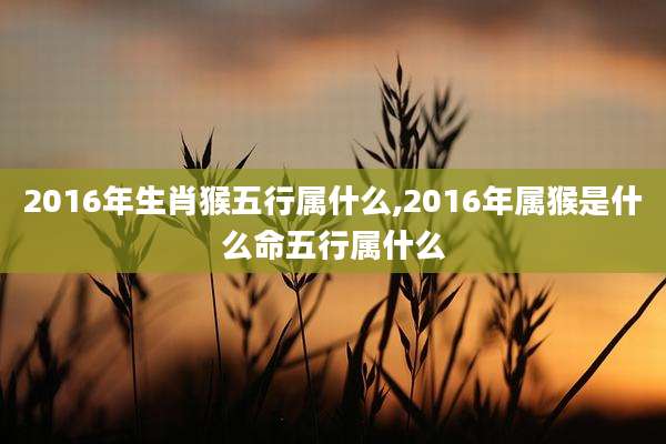 2016年生肖猴五行属什么,2016年属猴是什么命五行属什么