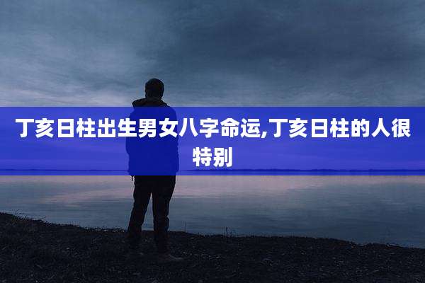 丁亥日柱出生男女八字命运,丁亥日柱的人很特别