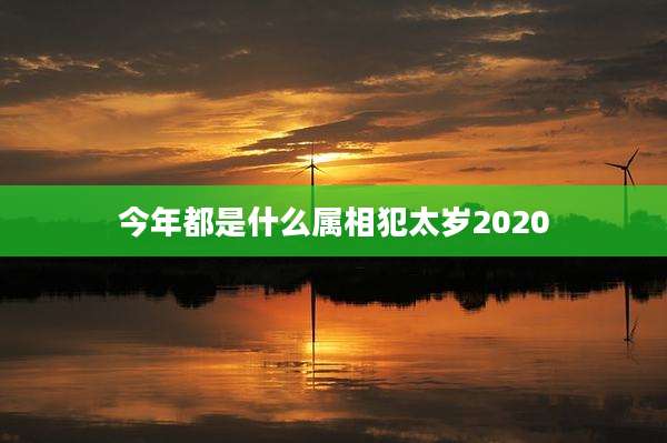 今年都是什么属相犯太岁2020