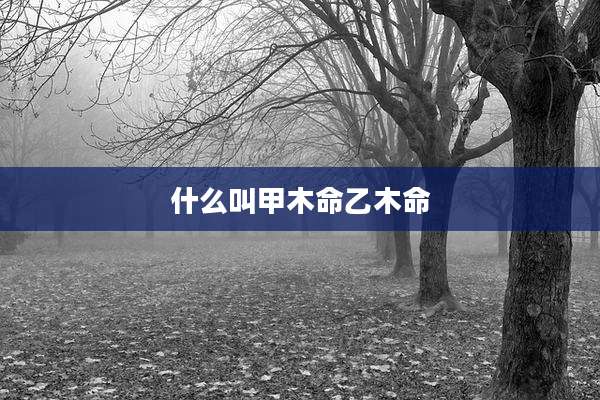 什么叫甲木命乙木命