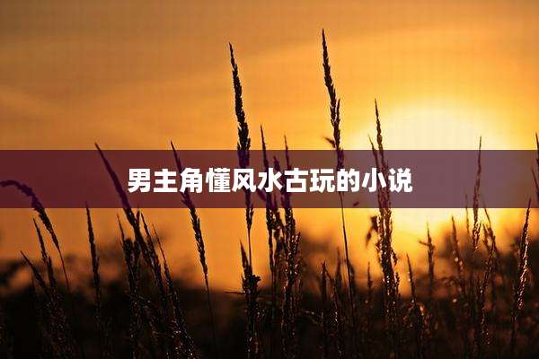 男主角懂风水古玩的小说