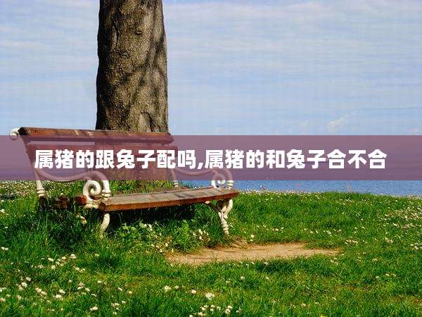 属猪的跟兔子配吗,属猪的和兔子合不合