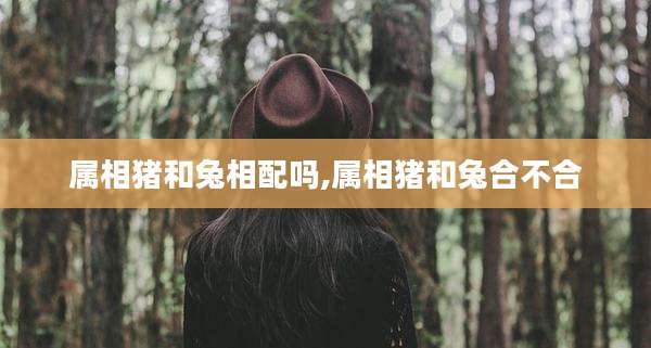 属相猪和兔相配吗,属相猪和兔合不合