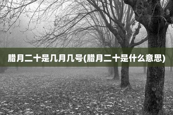 腊月二十是几月几号(腊月二十是什么意思)