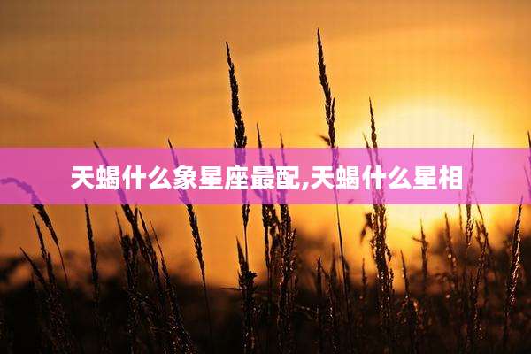 天蝎什么象星座最配,天蝎什么星相