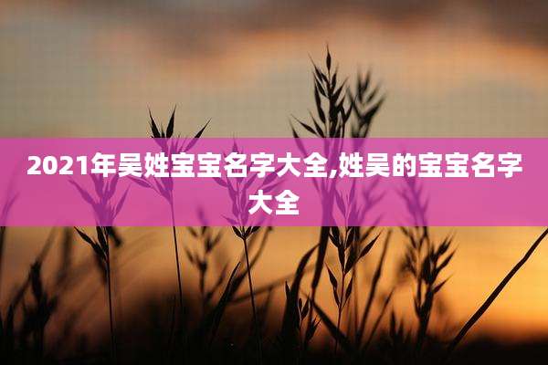 2021年吴姓宝宝名字大全,姓吴的宝宝名字大全