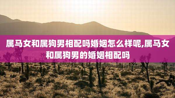 属马女和属狗男相配吗婚姻怎么样呢,属马女和属狗男的婚姻相配吗