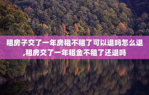 租房子交了一年房租不租了可以退吗怎么退,租房交了一年租金不租了还退吗