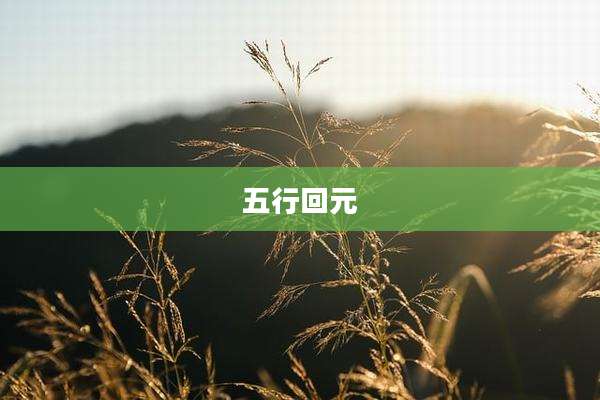 五行回元