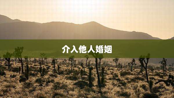 介入他人婚姻