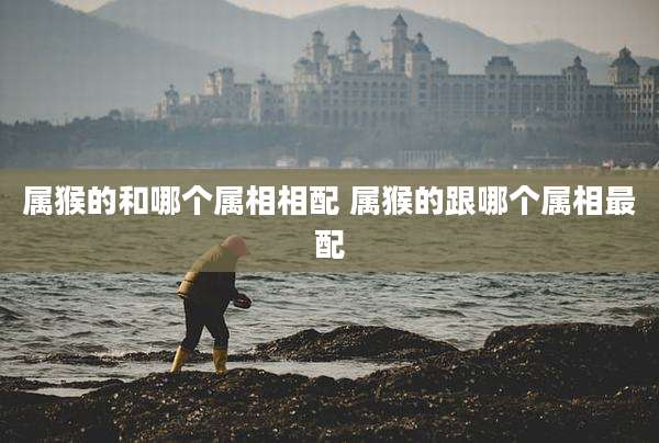 属猴的和哪个属相相配 属猴的跟哪个属相最配