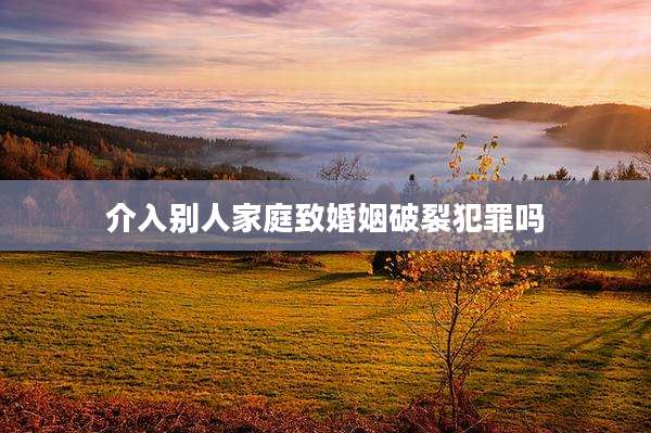 介入别人家庭致婚姻破裂犯罪吗