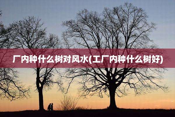 厂内种什么树对风水(工厂内种什么树好)
