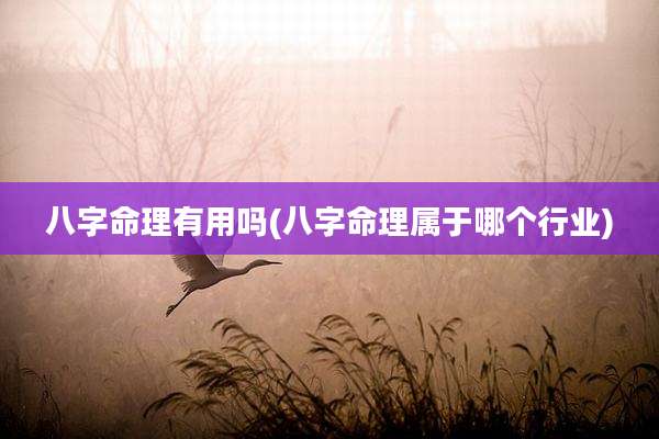八字命理有用吗(八字命理属于哪个行业)