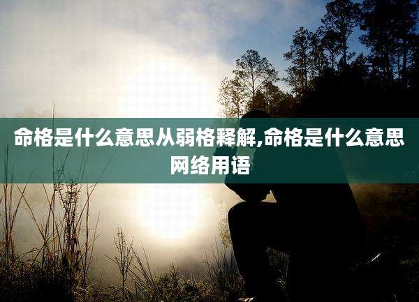 命格是什么意思从弱格释解,命格是什么意思网络用语