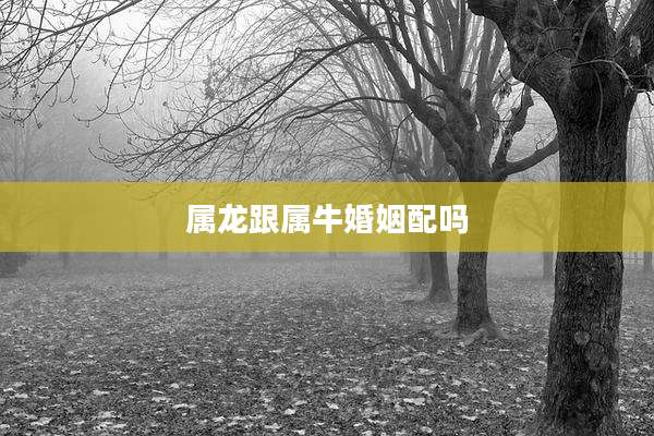 属龙跟属牛婚姻配吗
