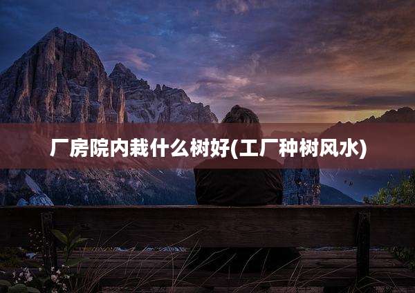 厂房院内栽什么树好(工厂种树风水)