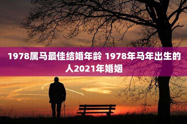 1978属马最佳结婚年龄 1978年马年出生的人2021年婚姻