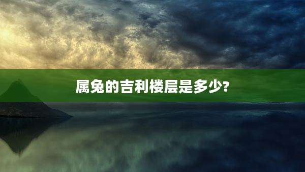 属兔的吉利楼层是多少?