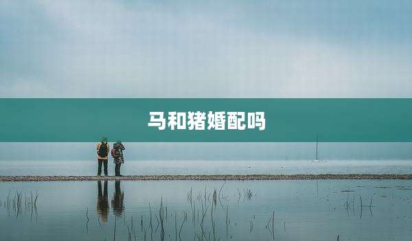 马和猪婚配吗
