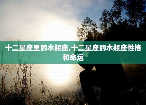 十二星座里的水瓶座,十二星座的水瓶座性格和命运