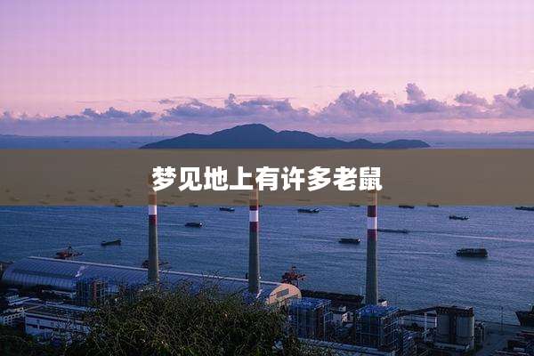 梦见地上有许多老鼠