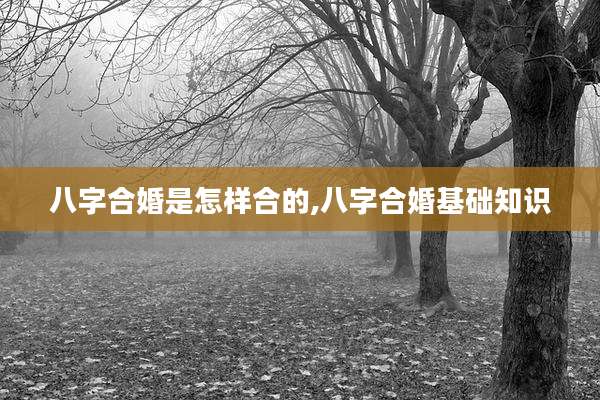 八字合婚是怎样合的,八字合婚基础知识