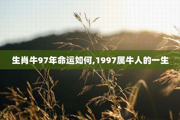 生肖牛97年命运如何,1997属牛人的一生