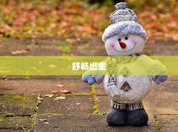 舒畅出生