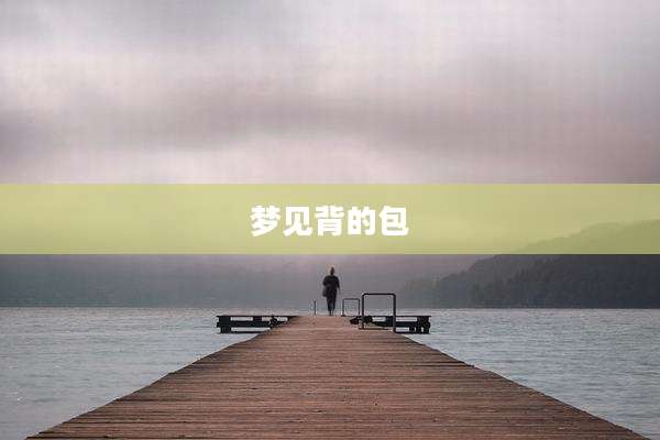 梦见背的包