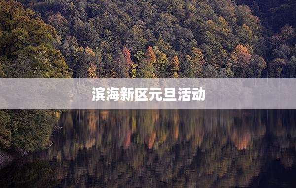 滨海新区元旦活动