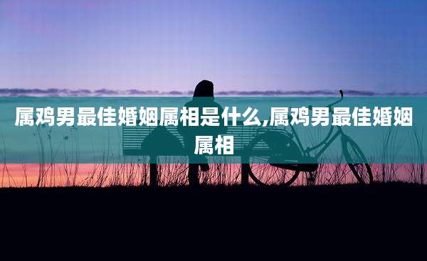 属鸡男最佳婚姻属相是什么,属鸡男最佳婚姻属相