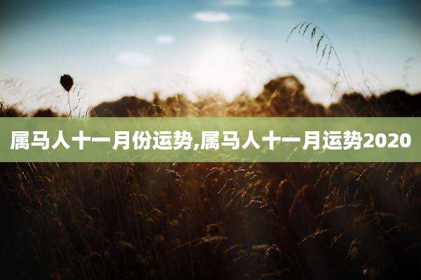 属马人十一月份运势,属马人十一月运势2020