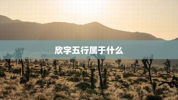 欣字五行属于什么