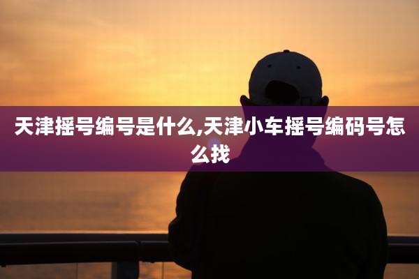 天津摇号编号是什么,天津小车摇号编码号怎么找