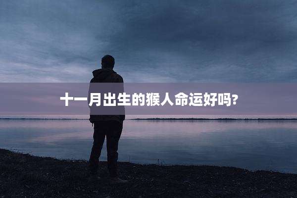 十一月出生的猴人命运好吗?