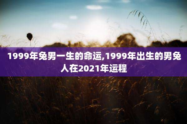 1999年兔男一生的命运,1999年出生的男兔人在2021年运程