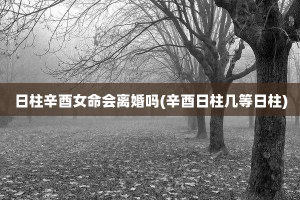 日柱辛酉女命会离婚吗(辛酉日柱几等日柱)