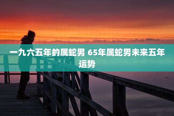 一九六五年的属蛇男 65年属蛇男未来五年运势