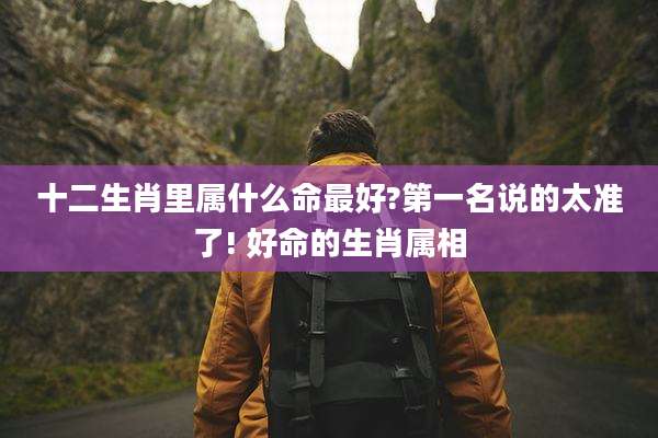 十二生肖里属什么命最好?第一名说的太准了! 好命的生肖属相