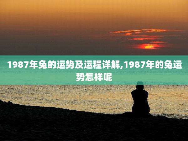 1987年兔的运势及运程详解,1987年的兔运势怎样呢